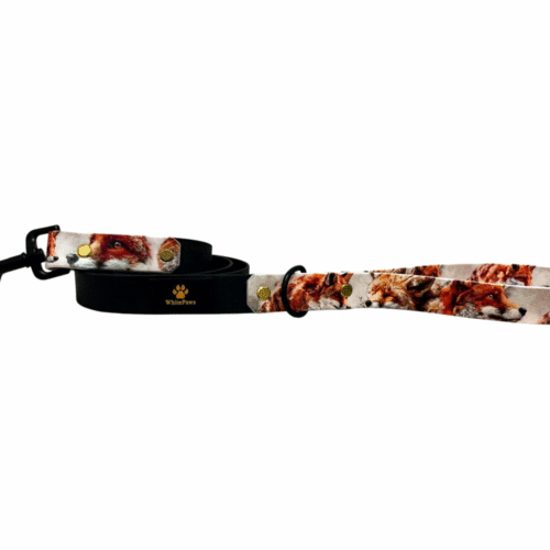 Leash