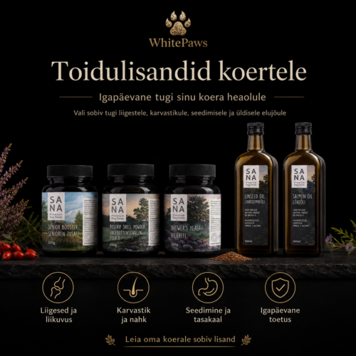 Täiendsööt